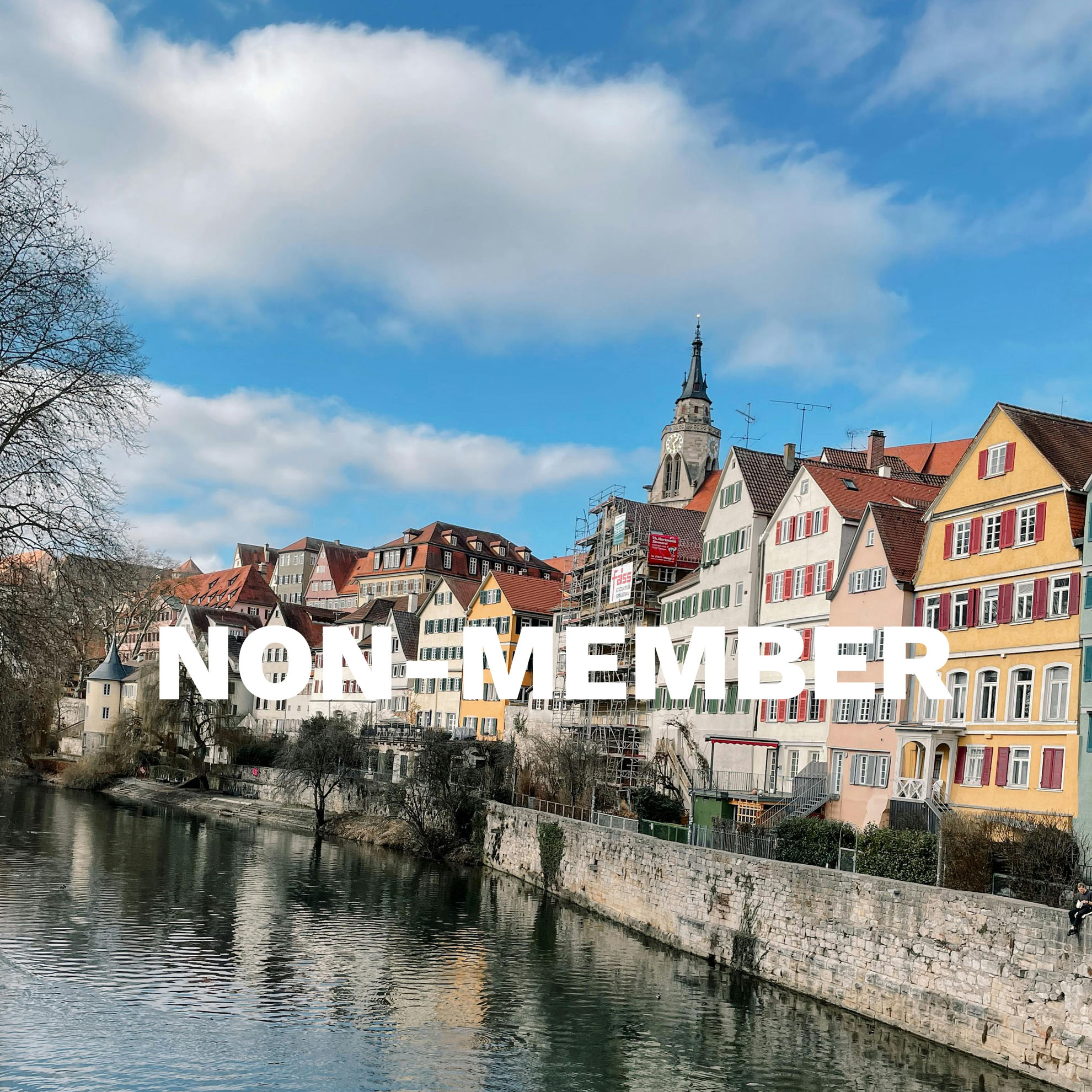 European Primate Veterinarians – 24th Scientific Seminar 2026 – for Non-Member