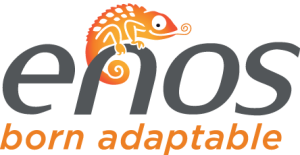Logo_enos_2024_colour